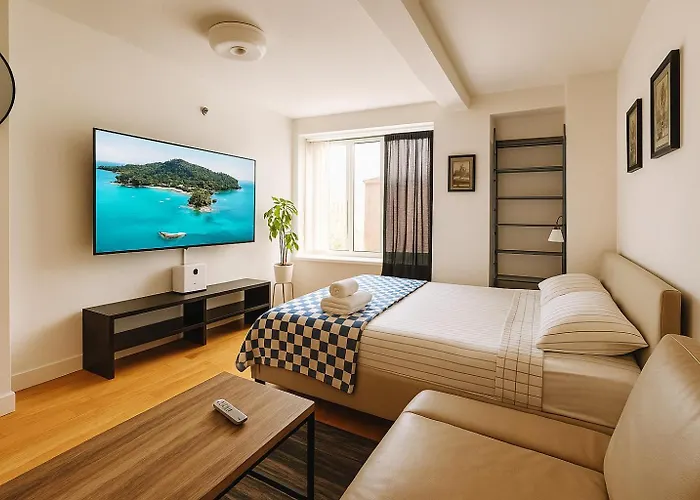 Modern Studio With Private Bathroom And Kitchen